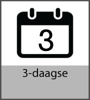 3-daagse